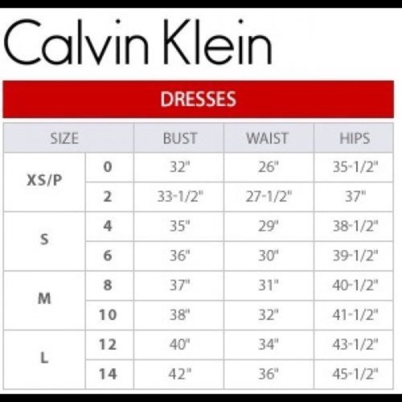 NWT Calvin Klein Lace Dress - Picture 8 of 8